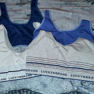 WOMENS LUCKY BRAND SPORTS BRA BUNDLE X (4) / XL & 1X